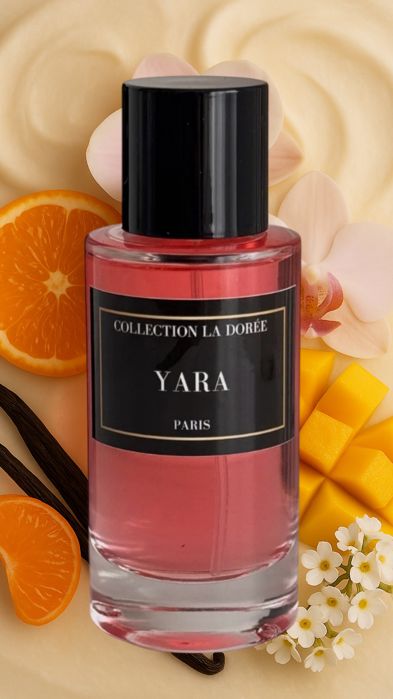 La Dorée - Yara