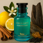 Imagination