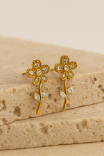 Boucles Clea