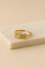 Bague Gardien
