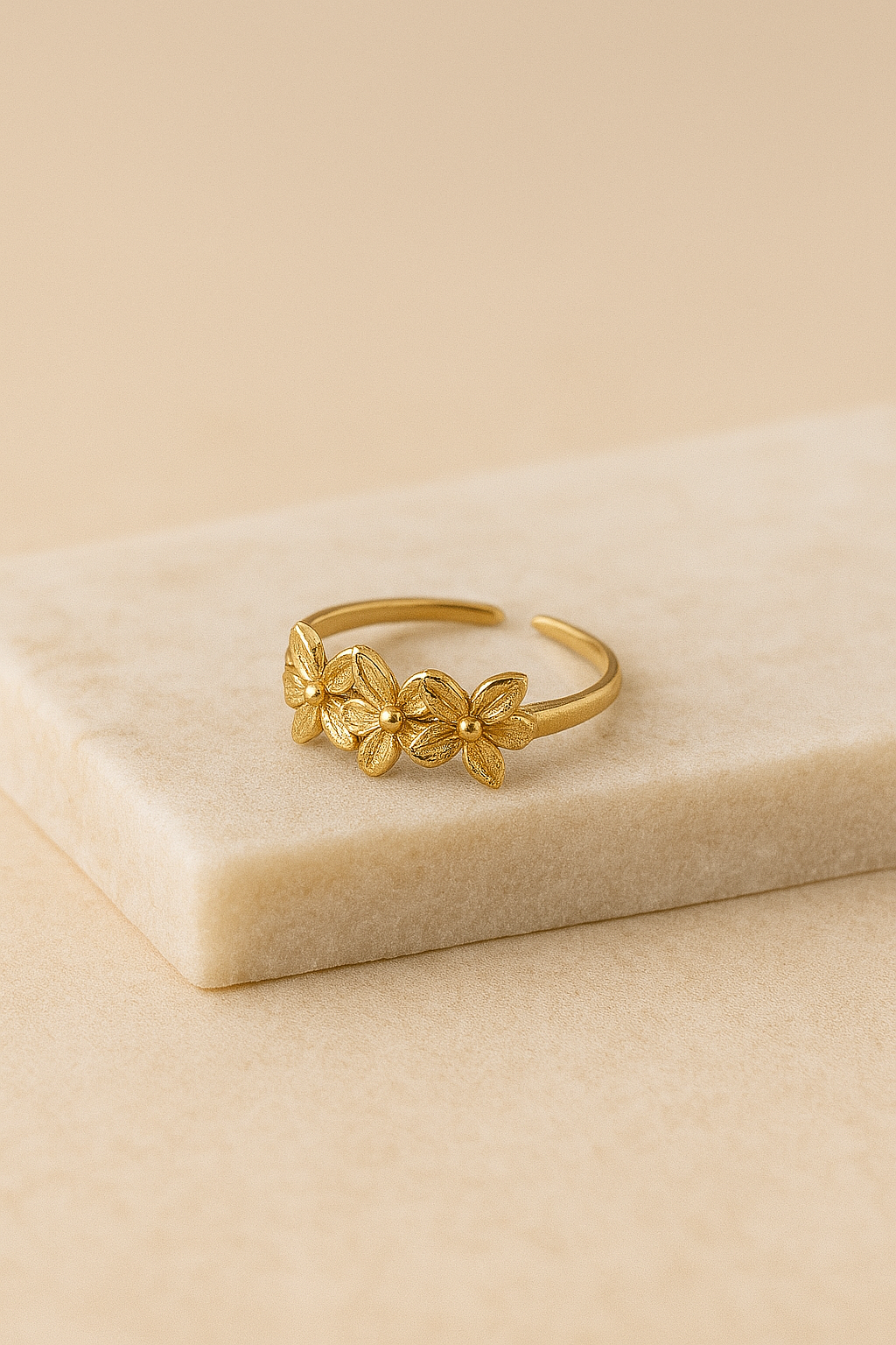 Bague Gardien